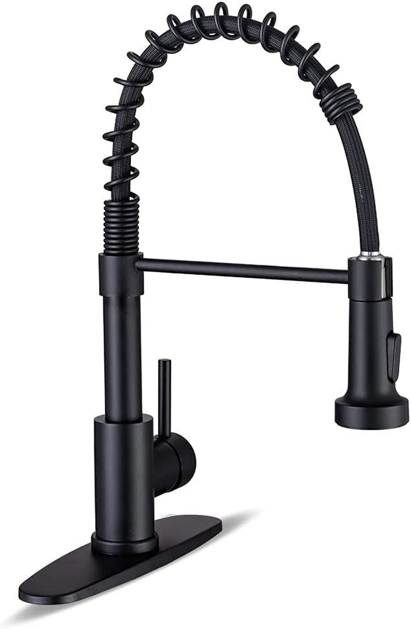 Stainless Steel Kitchen Faucet with Pull-Down Sprayer, Matte Black Finish