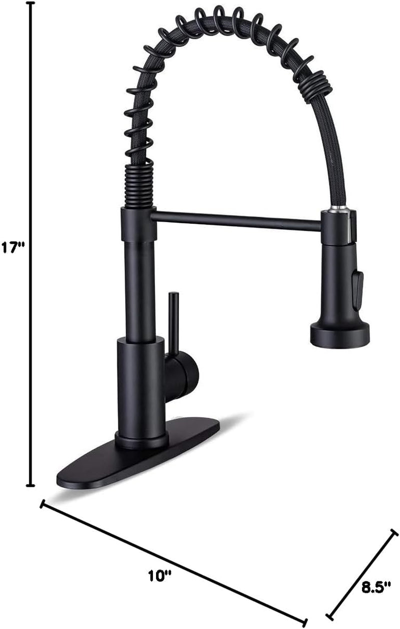 Stainless Steel Kitchen Faucet with Pull-Down Sprayer, Matte Black Finish